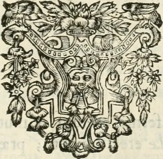 An illustration from Monumenta Patauina, Sertorii Vrsati studio collecta, digesta, explicata, suisque iconibus expressa, 1652, leaf 230