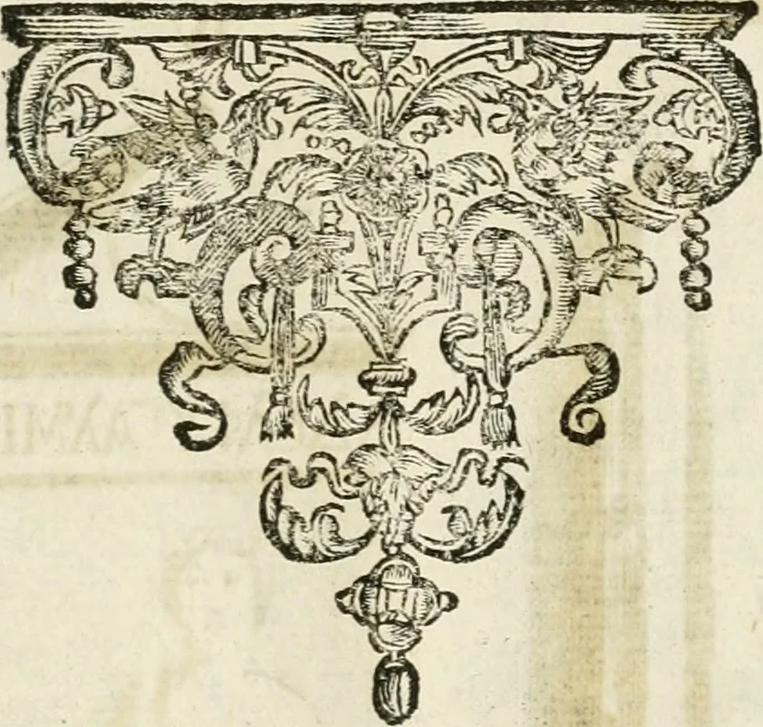An illustration from Monumenta Patauina, Sertorii Vrsati studio collecta, digesta, explicata, suisque iconibus expressa, 1652, leaf 234
