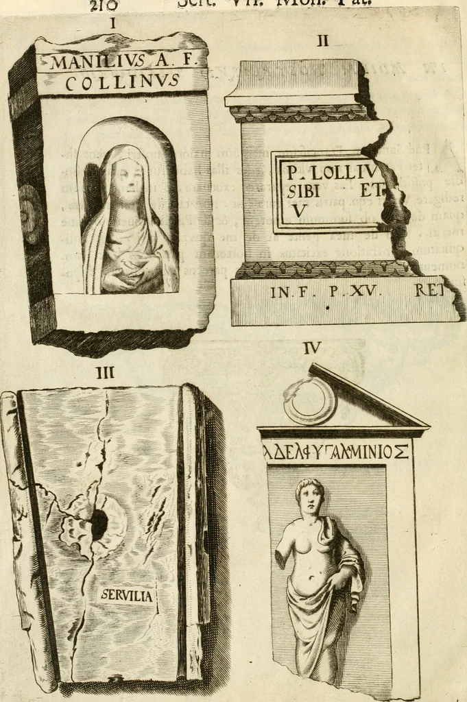 An illustration from Monumenta Patauina, Sertorii Vrsati studio collecta, digesta, explicata, suisque iconibus expressa, 1652, leaf 235
