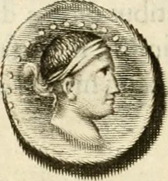 An illustration from Monumenta Patauina, Sertorii Vrsati studio collecta, digesta, explicata, suisque iconibus expressa, 1652, leaf 239