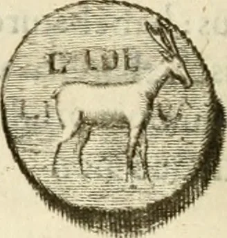An illustration from Monumenta Patauina, Sertorii Vrsati studio collecta, digesta, explicata, suisque iconibus expressa, 1652, leaf 239