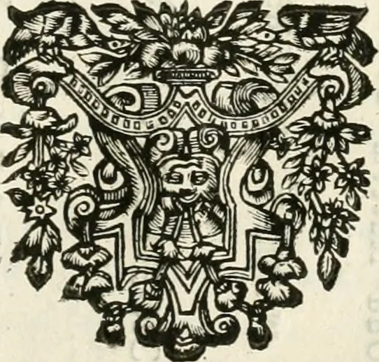 An illustration from Monumenta Patauina, Sertorii Vrsati studio collecta, digesta, explicata, suisque iconibus expressa, 1652, leaf 246