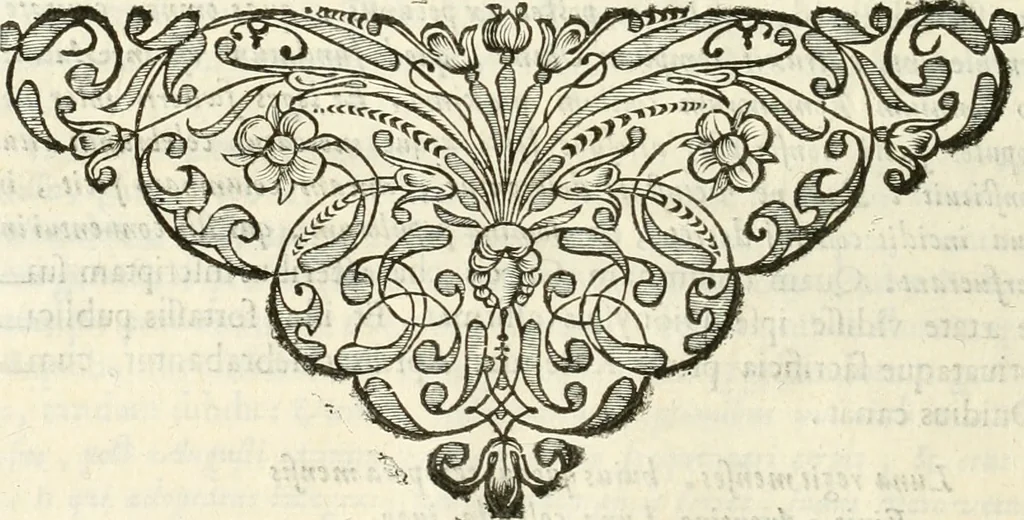 An illustration from Monumenta Patauina, Sertorii Vrsati studio collecta, digesta, explicata, suisque iconibus expressa, 1652, leaf 253