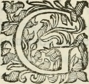 An illustration from Monumenta Patauina, Sertorii Vrsati studio collecta, digesta, explicata, suisque iconibus expressa, 1652, leaf 26
