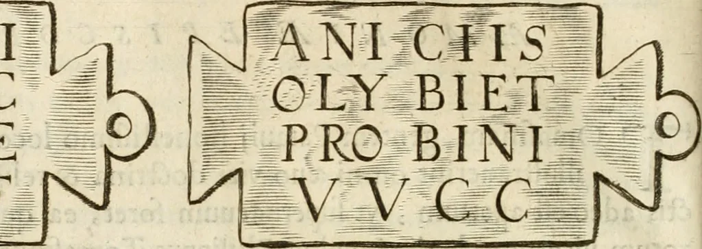 An illustration from Monumenta Patauina, Sertorii Vrsati studio collecta, digesta, explicata, suisque iconibus expressa, 1652, leaf 261