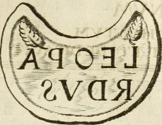An illustration from Monumenta Patauina, Sertorii Vrsati studio collecta, digesta, explicata, suisque iconibus expressa, 1652, leaf 261