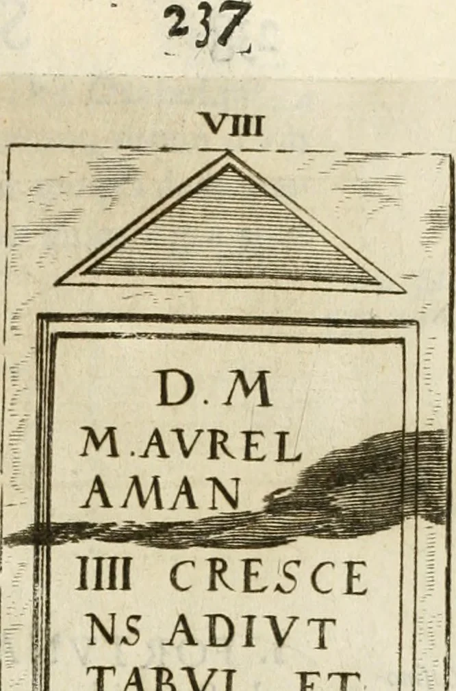An illustration from Monumenta Patauina, Sertorii Vrsati studio collecta, digesta, explicata, suisque iconibus expressa, 1652, leaf 262