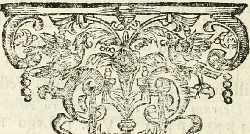 An illustration from Monumenta Patauina, Sertorii Vrsati studio collecta, digesta, explicata, suisque iconibus expressa, 1652, leaf 271