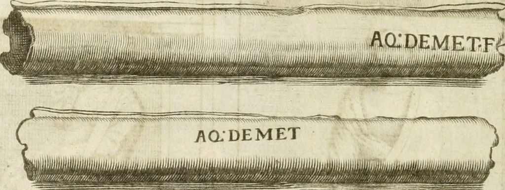 An illustration from Monumenta Patauina, Sertorii Vrsati studio collecta, digesta, explicata, suisque iconibus expressa, 1652, leaf 273