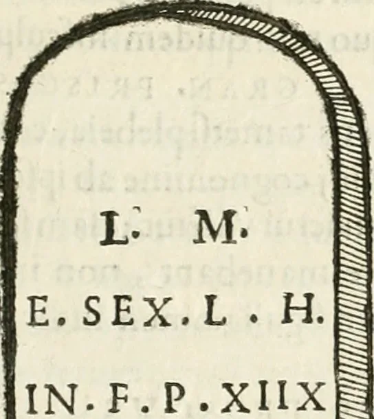 An illustration from Monumenta Patauina, Sertorii Vrsati studio collecta, digesta, explicata, suisque iconibus expressa, 1652, leaf 274