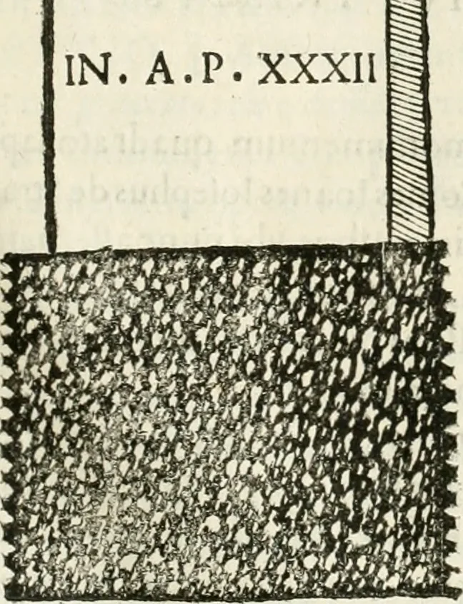 An illustration from Monumenta Patauina, Sertorii Vrsati studio collecta, digesta, explicata, suisque iconibus expressa, 1652, leaf 274