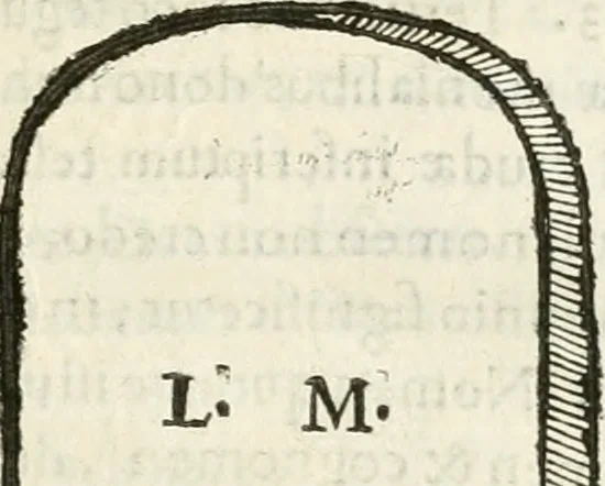 An illustration from Monumenta Patauina, Sertorii Vrsati studio collecta, digesta, explicata, suisque iconibus expressa, 1652, leaf 274