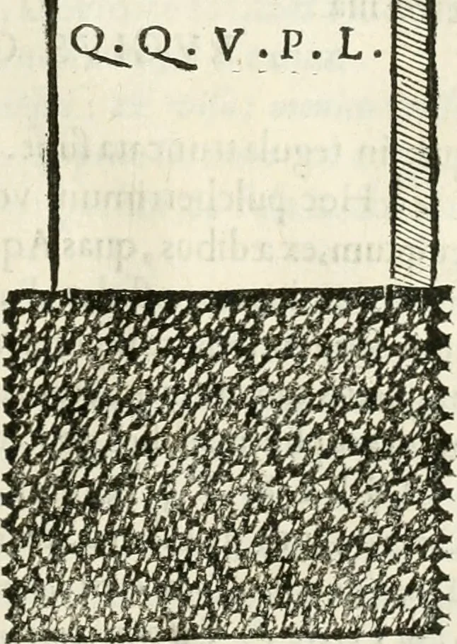 An illustration from Monumenta Patauina, Sertorii Vrsati studio collecta, digesta, explicata, suisque iconibus expressa, 1652, leaf 274
