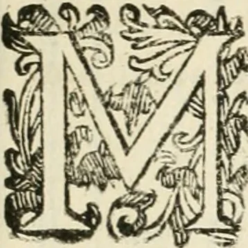 An illustration from Monumenta Patauina, Sertorii Vrsati studio collecta, digesta, explicata, suisque iconibus expressa, 1652, leaf 278