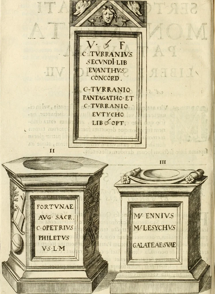 An illustration from Monumenta Patauina, Sertorii Vrsati studio collecta, digesta, explicata, suisque iconibus expressa, 1652, leaf 279