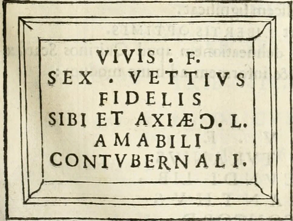 An illustration from Monumenta Patauina, Sertorii Vrsati studio collecta, digesta, explicata, suisque iconibus expressa, 1652, leaf 280