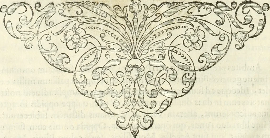 An illustration from Monumenta Patauina, Sertorii Vrsati studio collecta, digesta, explicata, suisque iconibus expressa, 1652, leaf 29
