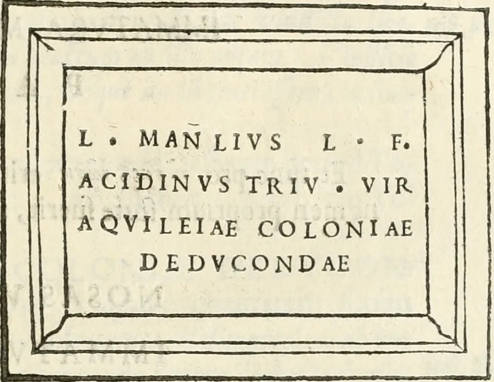 An illustration from Monumenta Patauina, Sertorii Vrsati studio collecta, digesta, explicata, suisque iconibus expressa, 1652, leaf 302