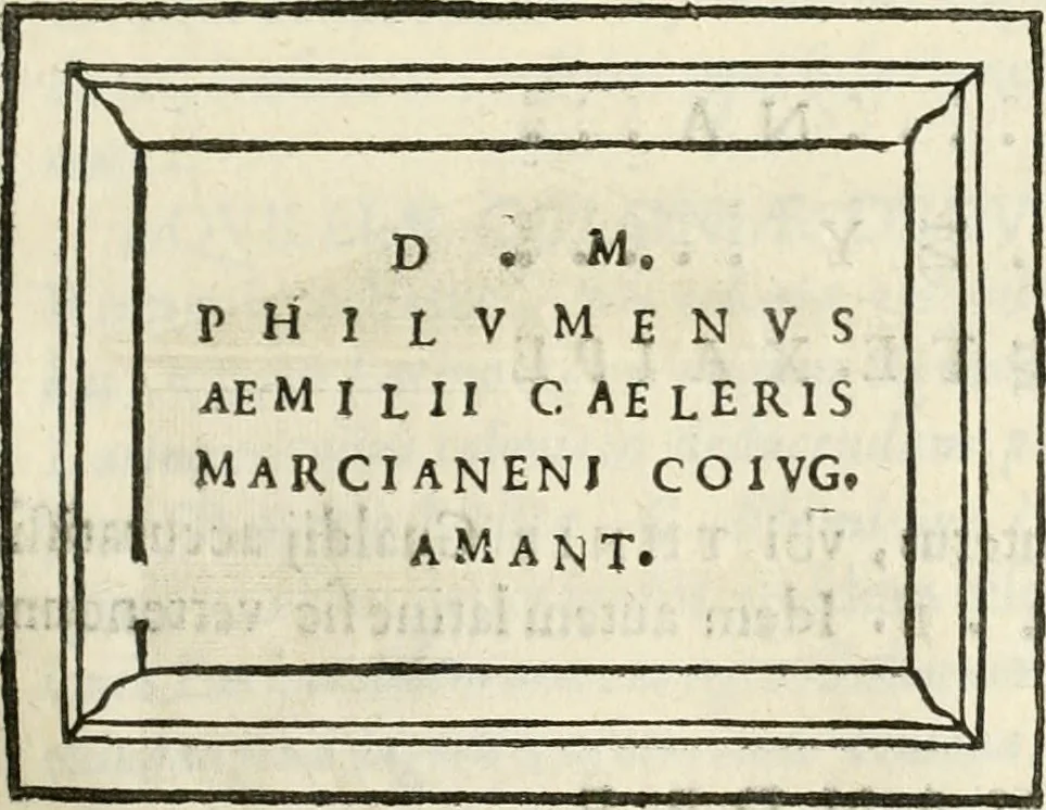 An illustration from Monumenta Patauina, Sertorii Vrsati studio collecta, digesta, explicata, suisque iconibus expressa, 1652, leaf 302
