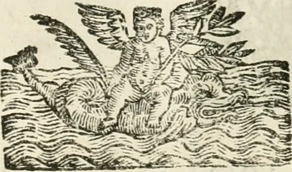 An illustration from Monumenta Patauina, Sertorii Vrsati studio collecta, digesta, explicata, suisque iconibus expressa, 1652, leaf 306