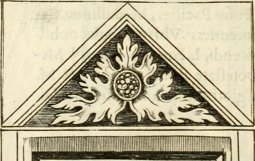 An illustration from Monumenta Patauina, Sertorii Vrsati studio collecta, digesta, explicata, suisque iconibus expressa, 1652, leaf 309