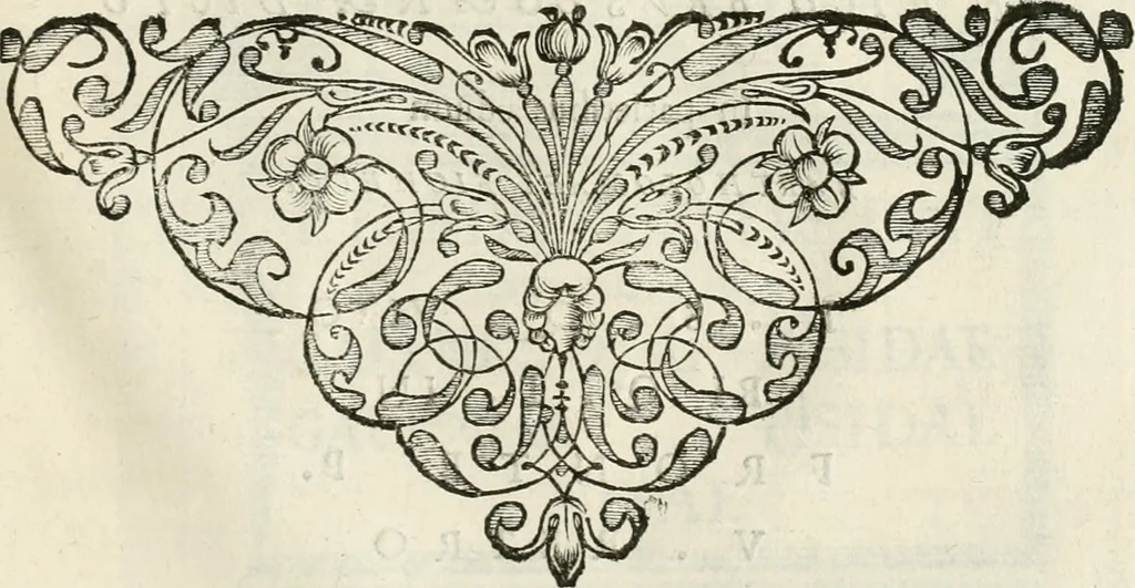 An illustration from Monumenta Patauina, Sertorii Vrsati studio collecta, digesta, explicata, suisque iconibus expressa, 1652, leaf 314