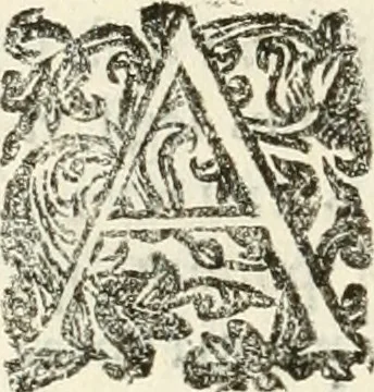 An illustration from Monumenta Patauina, Sertorii Vrsati studio collecta, digesta, explicata, suisque iconibus expressa, 1652, leaf 315