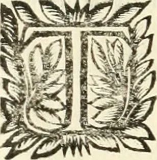 An illustration from Monumenta Patauina, Sertorii Vrsati studio collecta, digesta, explicata, suisque iconibus expressa, 1652, leaf 319