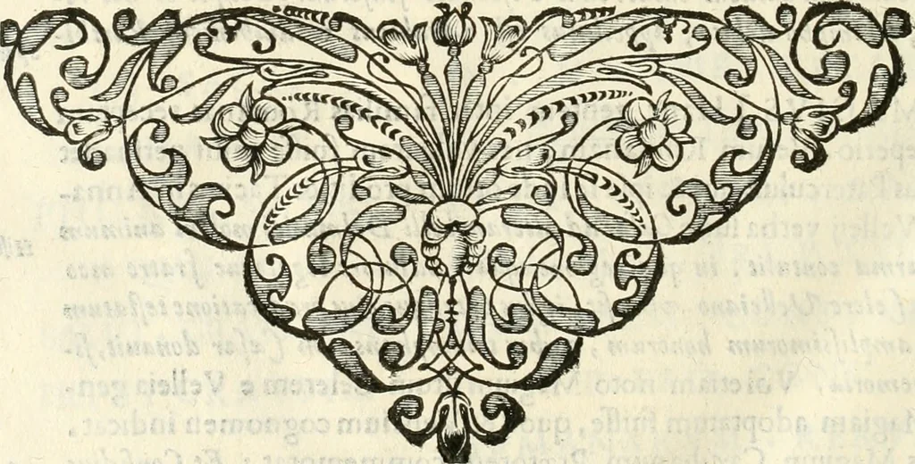 An illustration from Monumenta Patauina, Sertorii Vrsati studio collecta, digesta, explicata, suisque iconibus expressa, 1652, leaf 349