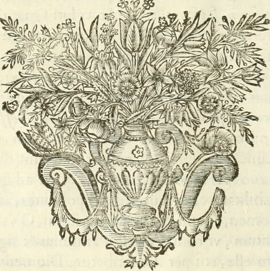 An illustration from Monumenta Patauina, Sertorii Vrsati studio collecta, digesta, explicata, suisque iconibus expressa, 1652, leaf 35