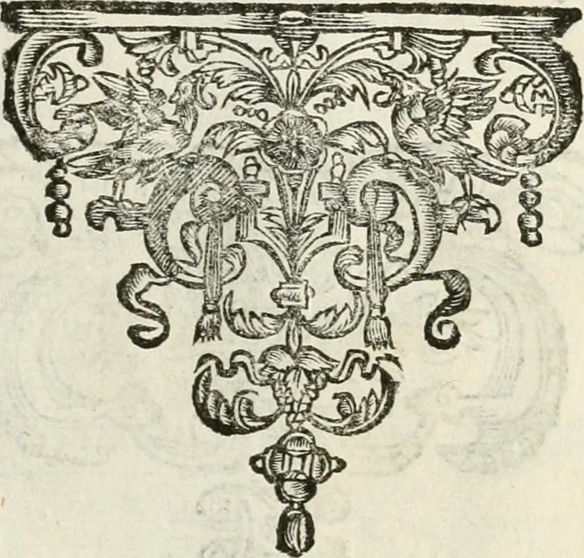 An illustration from Monumenta Patauina, Sertorii Vrsati studio collecta, digesta, explicata, suisque iconibus expressa, 1652, leaf 362