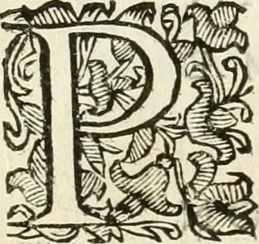 An illustration from Monumenta Patauina, Sertorii Vrsati studio collecta, digesta, explicata, suisque iconibus expressa, 1652, leaf 363