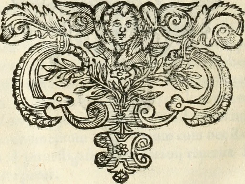An illustration from Monumenta Patauina, Sertorii Vrsati studio collecta, digesta, explicata, suisque iconibus expressa, 1652, leaf 363