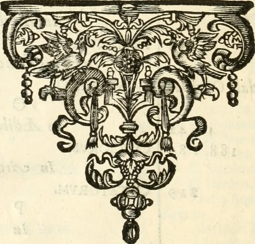 An illustration from Monumenta Patauina, Sertorii Vrsati studio collecta, digesta, explicata, suisque iconibus expressa, 1652, leaf 385