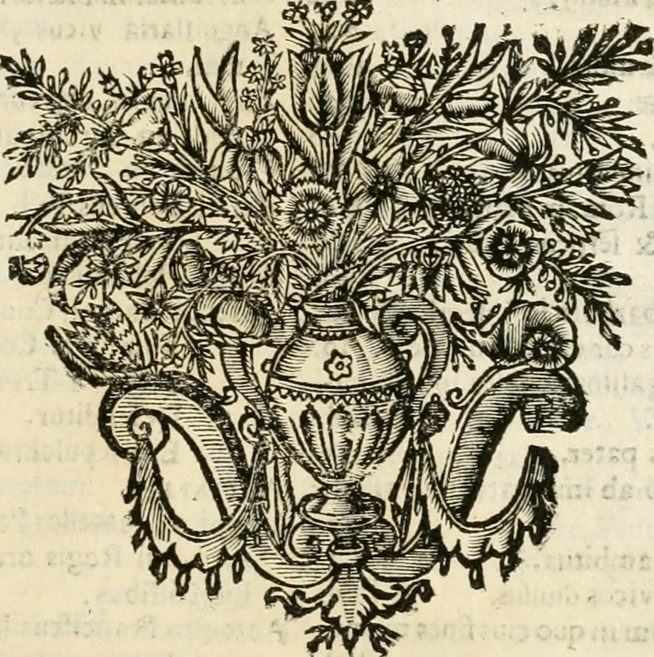 An illustration from Monumenta Patauina, Sertorii Vrsati studio collecta, digesta, explicata, suisque iconibus expressa, 1652, leaf 396