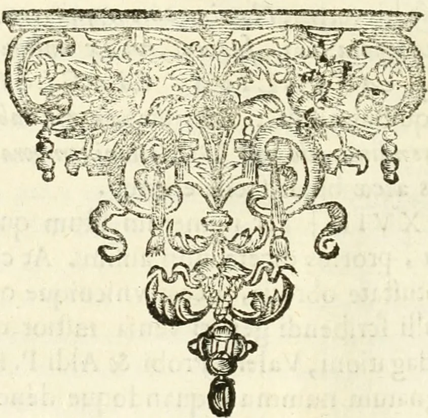 An illustration from Monumenta Patauina, Sertorii Vrsati studio collecta, digesta, explicata, suisque iconibus expressa, 1652, leaf 45
