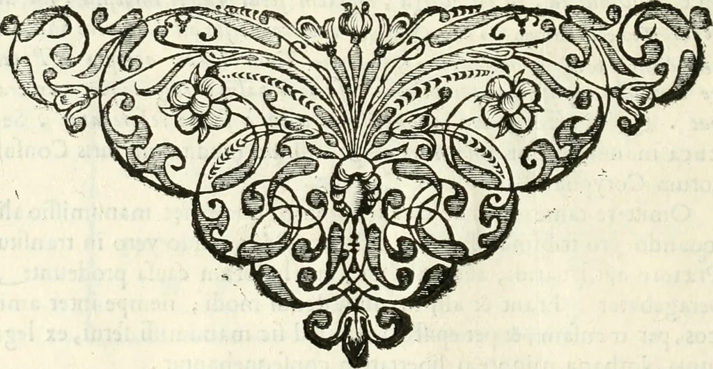 An illustration from Monumenta Patauina, Sertorii Vrsati studio collecta, digesta, explicata, suisque iconibus expressa, 1652, leaf 65