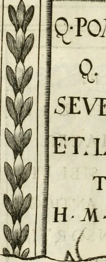 An illustration from Monumenta Patauina, Sertorii Vrsati studio collecta, digesta, explicata, suisque iconibus expressa, 1652, leaf 67