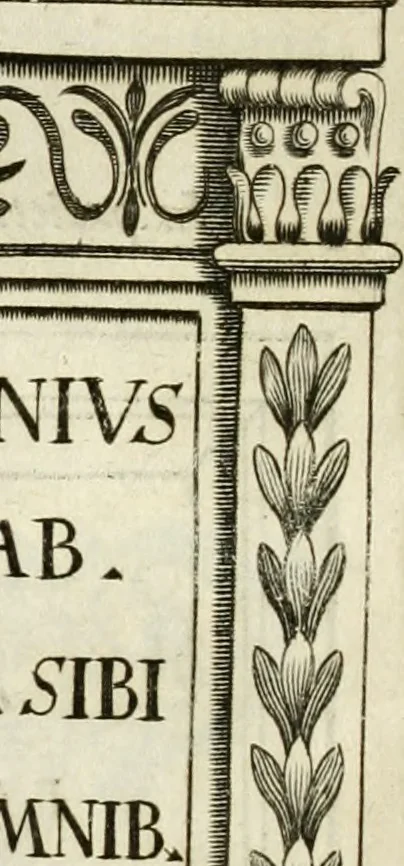 An illustration from Monumenta Patauina, Sertorii Vrsati studio collecta, digesta, explicata, suisque iconibus expressa, 1652, leaf 67