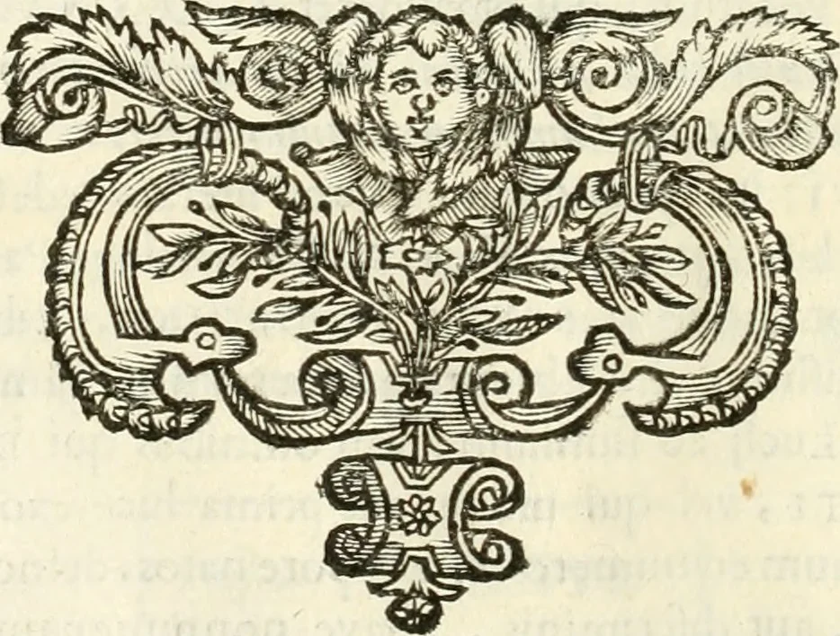 An illustration from Monumenta Patauina, Sertorii Vrsati studio collecta, digesta, explicata, suisque iconibus expressa, 1652, leaf 73