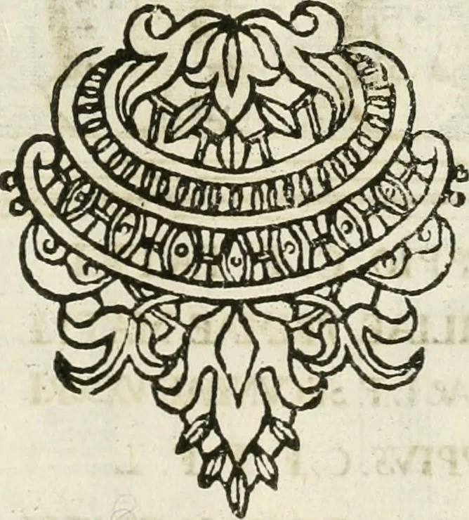 An illustration from Monumenta Patauina, Sertorii Vrsati studio collecta, digesta, explicata, suisque iconibus expressa, 1652, leaf 74