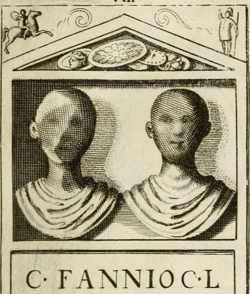 An illustration from Monumenta Patauina, Sertorii Vrsati studio collecta, digesta, explicata, suisque iconibus expressa, 1652, leaf 78
