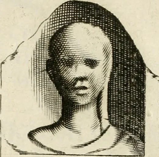 An illustration from Monumenta Patauina, Sertorii Vrsati studio collecta, digesta, explicata, suisque iconibus expressa, 1652, leaf 80