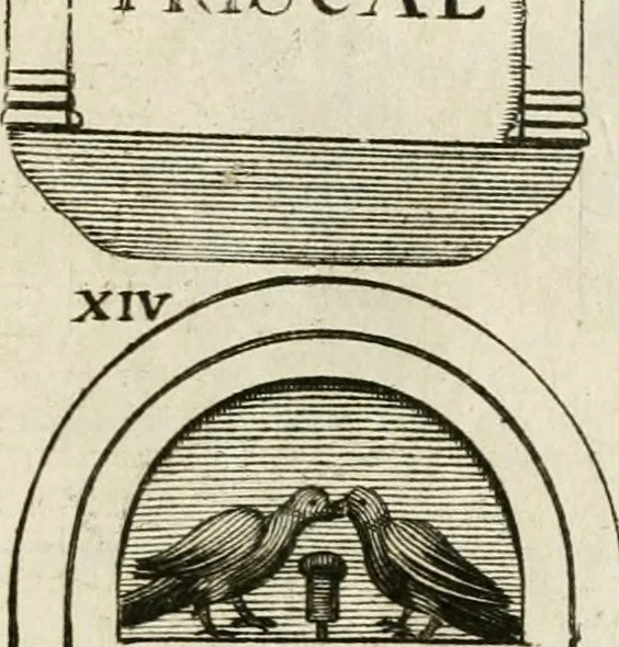 An illustration from Monumenta Patauina, Sertorii Vrsati studio collecta, digesta, explicata, suisque iconibus expressa, 1652, leaf 80