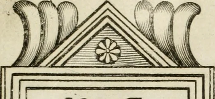 An illustration from Monumenta Patauina, Sertorii Vrsati studio collecta, digesta, explicata, suisque iconibus expressa, 1652, leaf 82