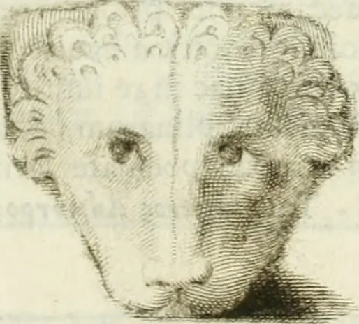 An illustration from Monumenta peloponnesia : commentariis explicata, 1761, leaf 212