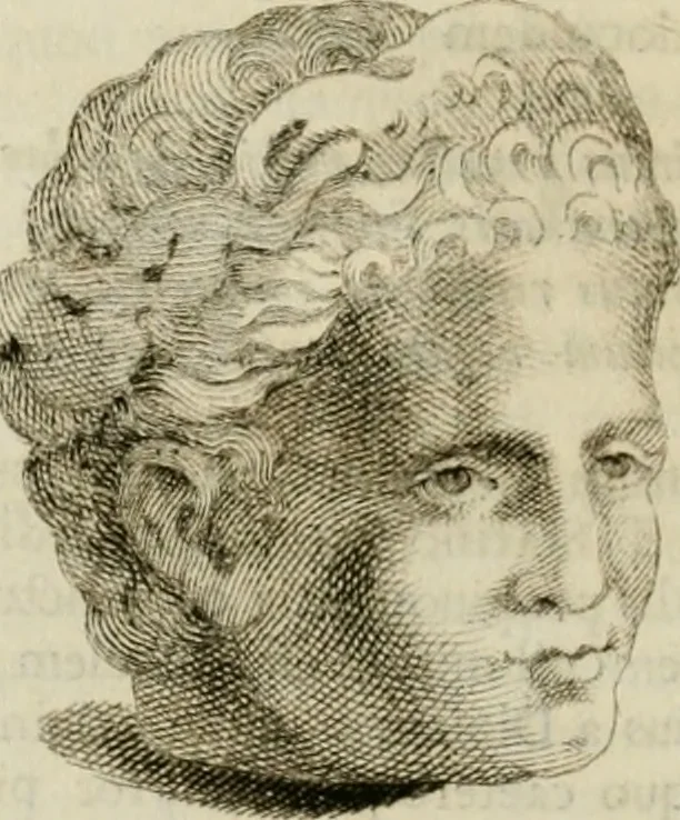 An illustration from Monumenta peloponnesia : commentariis explicata, 1761, leaf 129