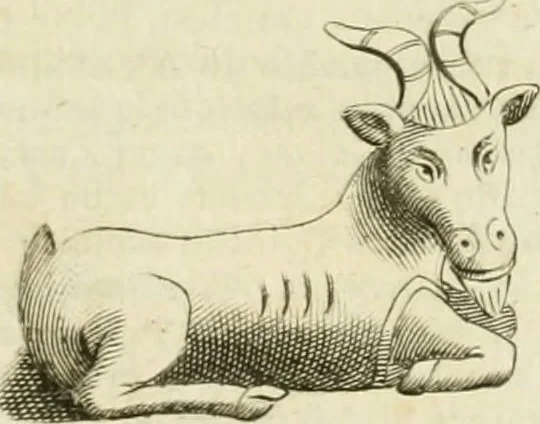 An illustration from Monumenta peloponnesia : commentariis explicata, 1761, leaf 146