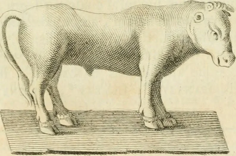 An illustration from Monumenta peloponnesia : commentariis explicata, 1761, leaf 64