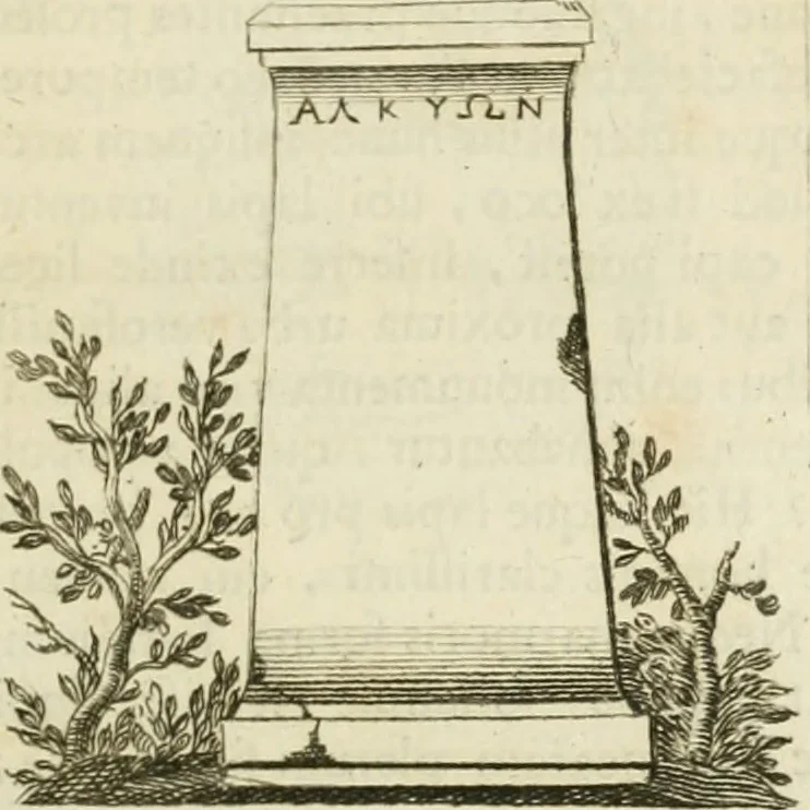 An illustration from Monumenta peloponnesia : commentariis explicata, 1761, leaf 88
